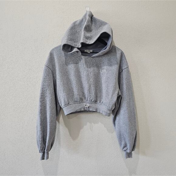 For Love And Lemons Gray Cropped Boxy Hoodie - Picture 5 of 11